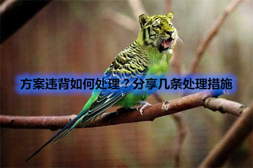 方案違背如何處理？分享幾條處理措施(圖1)