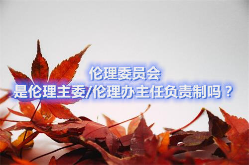倫理委員會(huì)是倫理主委/倫理辦主任負(fù)責(zé)制嗎？(圖1)