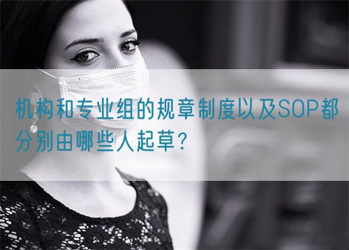 機(jī)構(gòu)和專業(yè)組的規(guī)章制度以及SOP都分別由哪些人起草？(圖1)